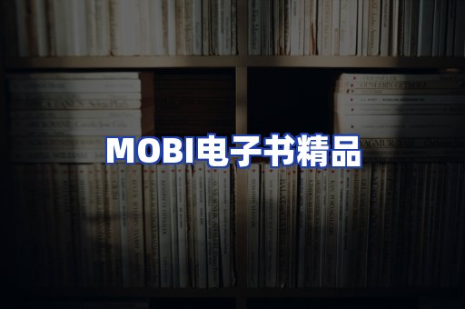 外文电子书产品